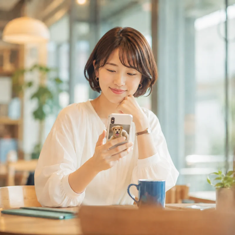 写真で様子を見ながら過ごす様子